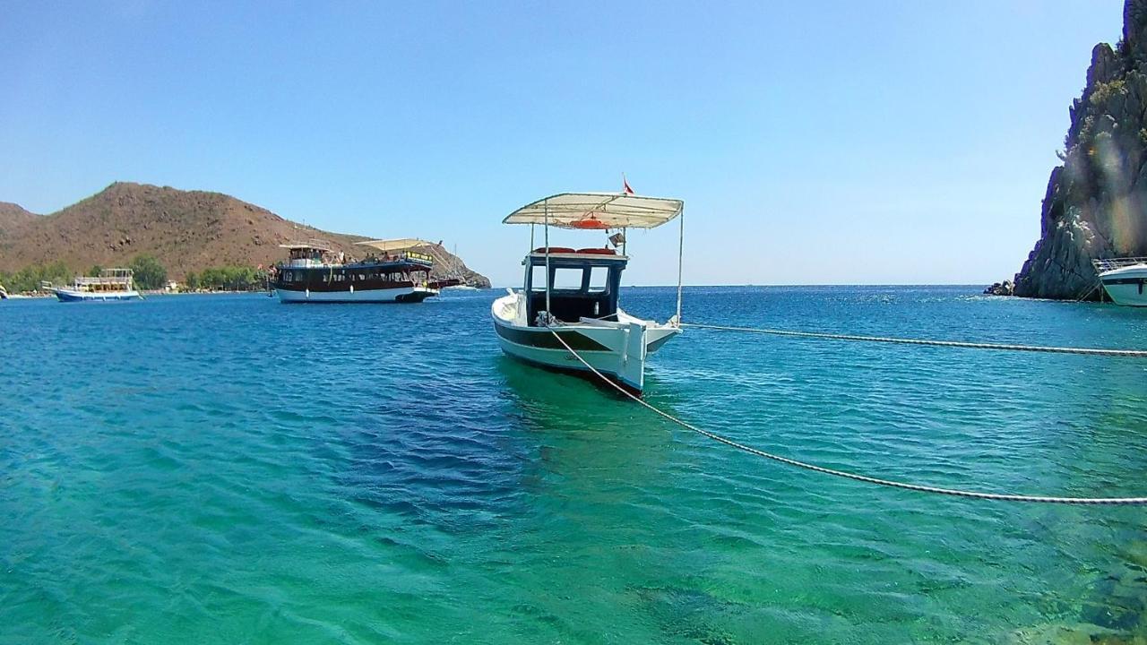 داتْشا Oliva Casa Apart Hotel المظهر الخارجي الصورة