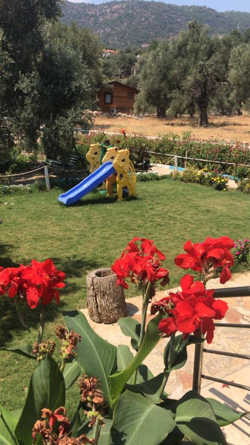 داتْشا Oliva Casa Apart Hotel المظهر الخارجي الصورة