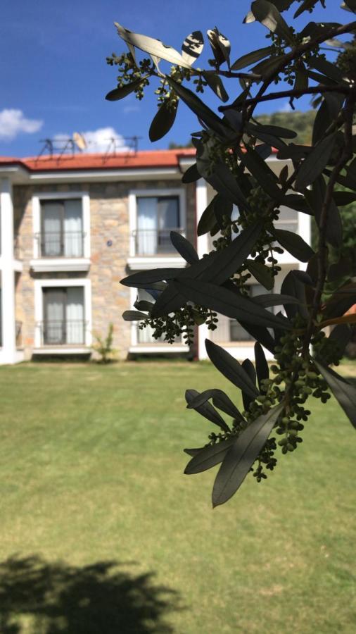 داتْشا Oliva Casa Apart Hotel المظهر الخارجي الصورة