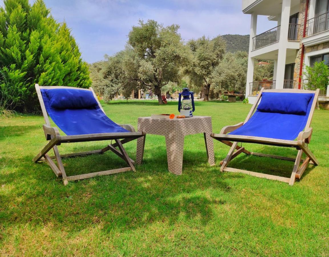 داتْشا Oliva Casa Apart Hotel المظهر الخارجي الصورة